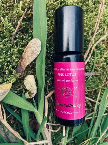 Pink Lotos in Sandalwood