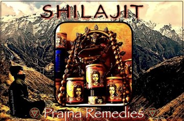 Prajna remedies