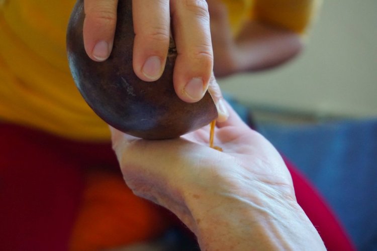 Navaratri- výživný a zdrojovací pobyt pro ženy 15.-19.4.2026